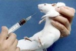 ratita_lab